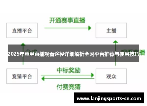 2025年意甲直播观看途径详细解析全网平台推荐与使用技巧